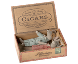 Mum and dad mice in cigar box